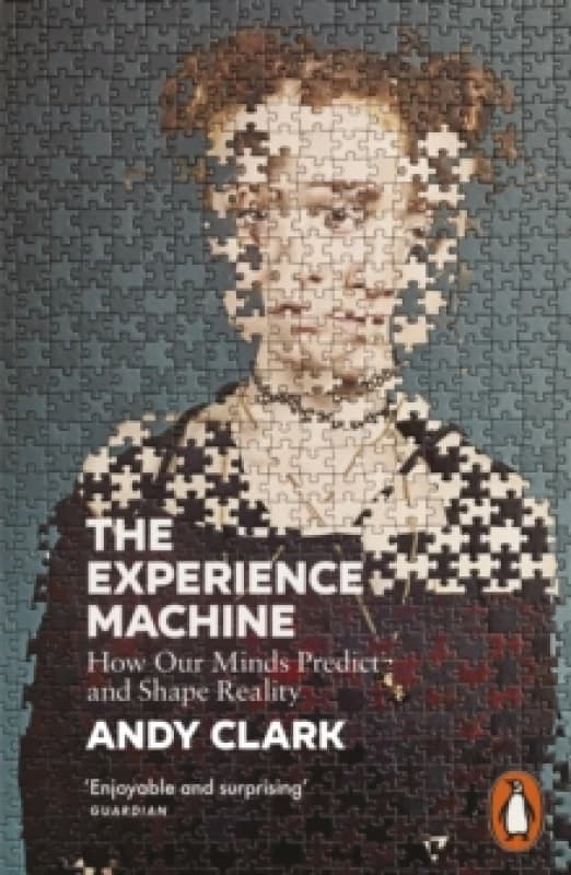 The Experience Machine. Paperback. By Andy Clark Books
