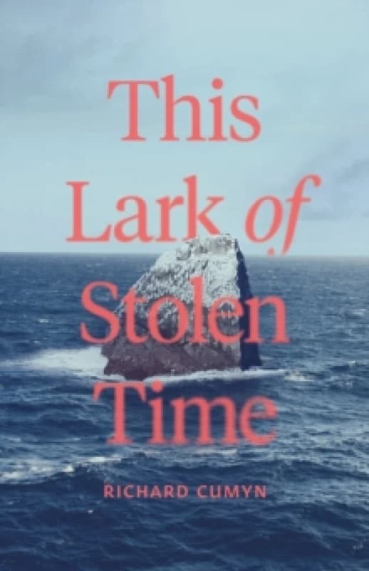 This Lark of Stolen Time : A Novel Paperback / softback