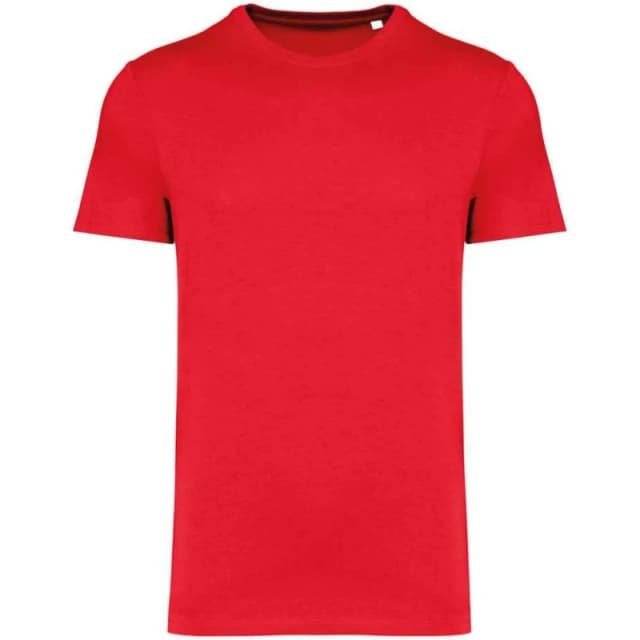Native Spirit Mens Heavyweight Slim T-Shirt in Scarlet Size: XS Scarlet Male XS