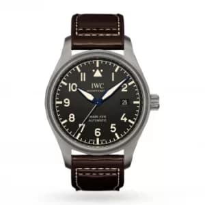 Pilot's Heritage 40mm Mens Watch