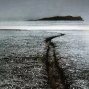 Huam by Salt House CD Album