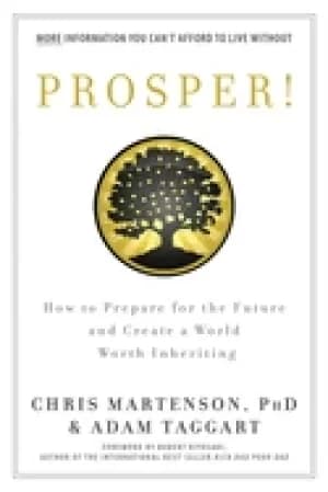 prosper how to prepare for the future and create a world worth inheriting