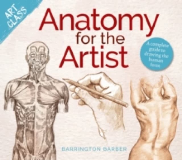 Art Class: Anatomy for the Artist : A complete guide to drawing the human form Paperback / softback