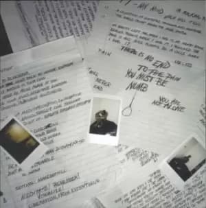 Xxxtentacion 17 - EX 2018 USA vinyl LP 888915663776