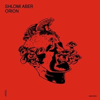 SHLOMI ABER - Orion Vinyl