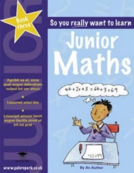 So You Really Want to Learn Junior Maths. Book 3 by David Hillard Paperback