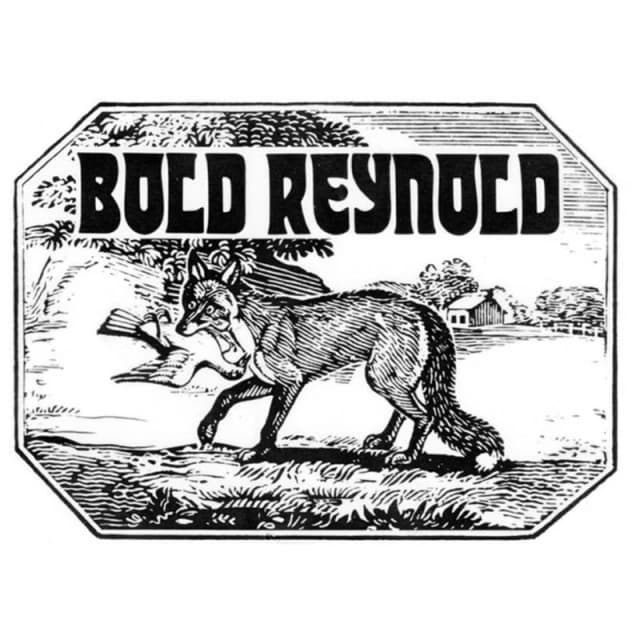 Bold Reynold CD / Album Digipak