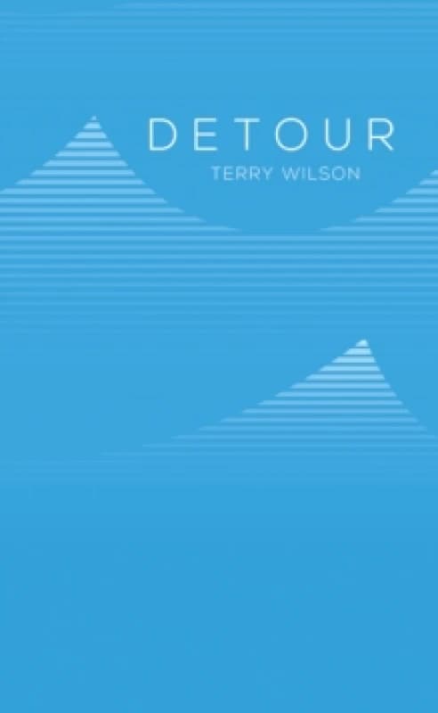 Detour. Paperback. By Terry Wilson Books