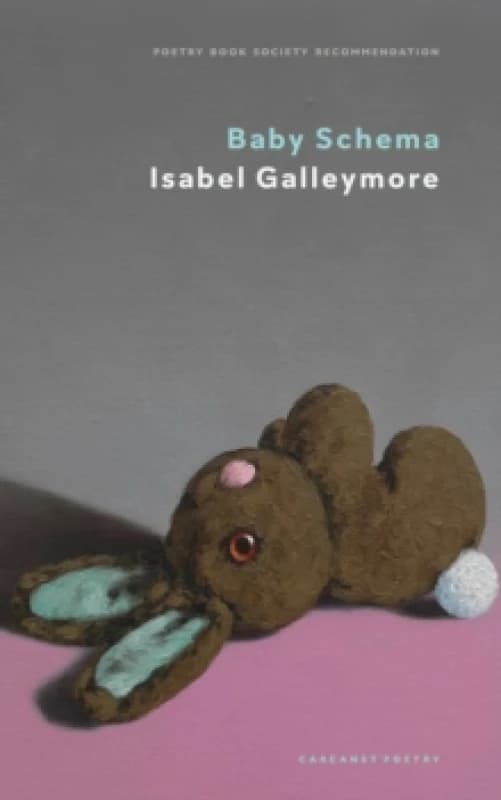 Baby Schema Paperback / softback