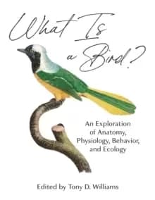 What Is a Bird? An Exploration of Anatomy, Physiology, Behavior, and Ecology