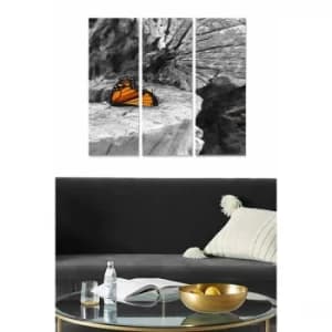 MDFSBO15 Multicolor Decorative MDF Painting (3 Pieces)