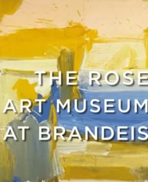 The Rose Art Museum at Brandeis by Michael Rush