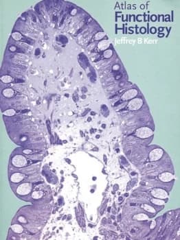 Atlas of Functional Histology by Jeffrey B Kerr Paperback