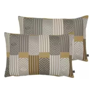 Blake Twin Pack Polyester Filled Cushions