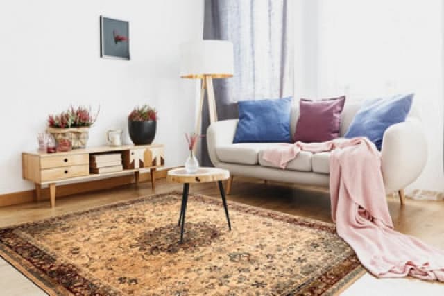 RugsX Wool Polonia Rug in Red Size: 235cm x 350cm Red Unisex 235cm x 350 cm