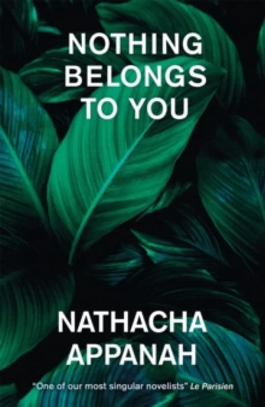 Nothing Belongs to You Paperback / softback