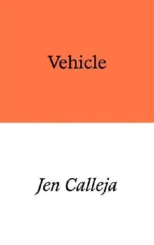 Vehicle : a verse novel Paperback / softback