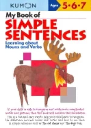 my book of simple sentences learning about nouns and verbs