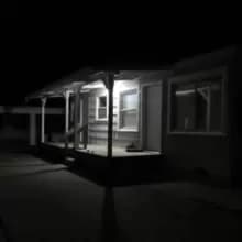 Birds tricked into the trees