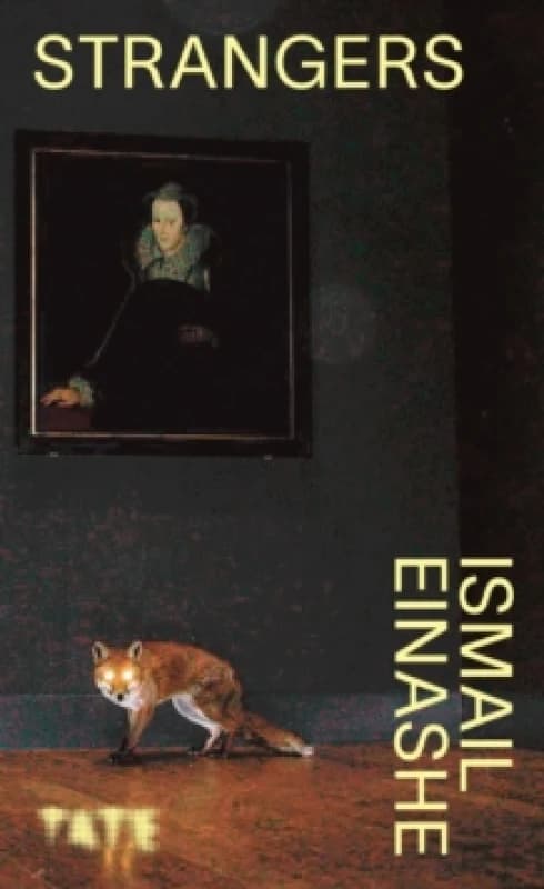 Look Again: Strangers Paperback / softback