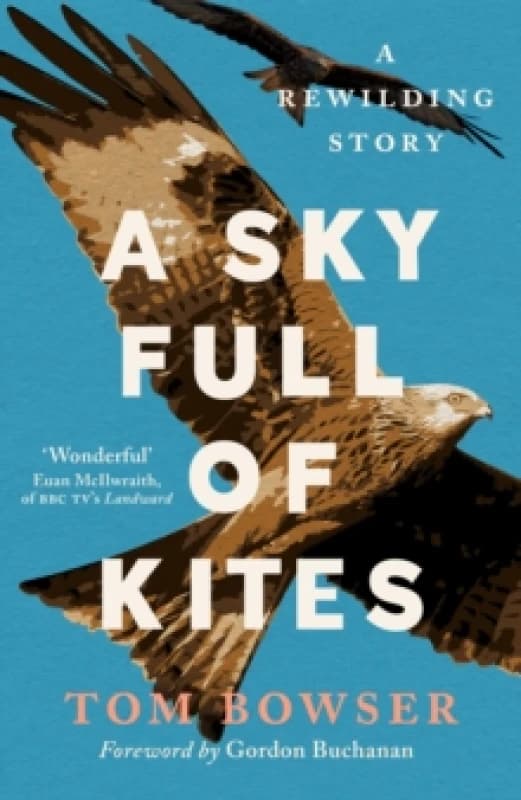 A Sky Full of Kites : A Rewilding Story Paperback / softback