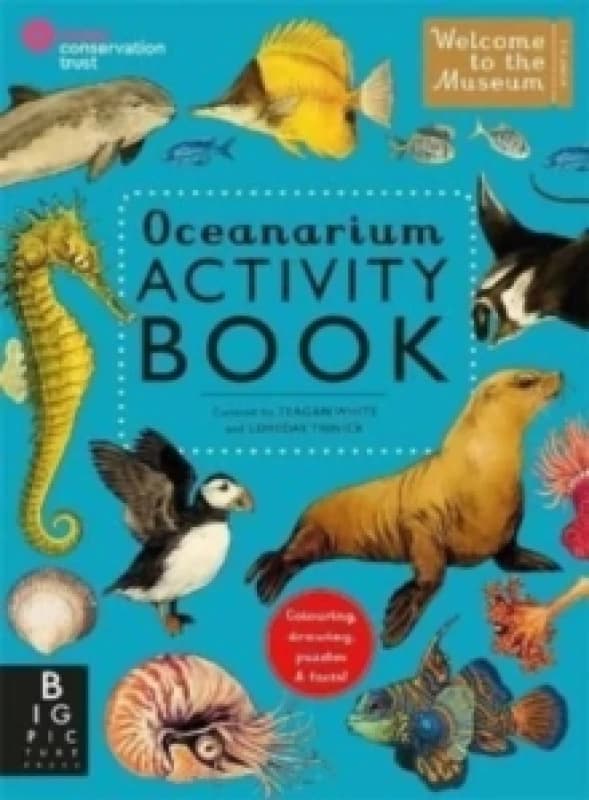 Oceanarium Activity Paperback / softback