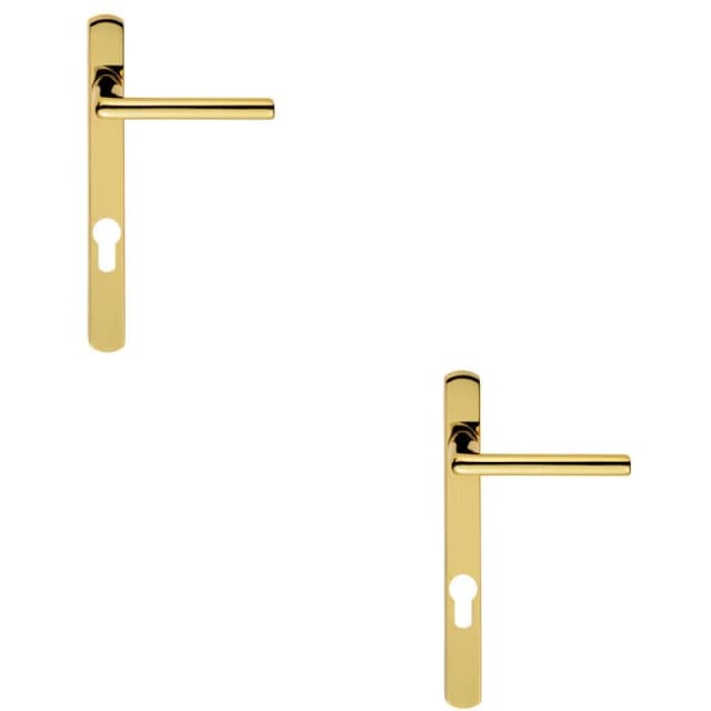 Loops 2x PAIR Straight Lever on Narrow Euro Lock Backplate 220 x 26mm Stainless Brass Metallics