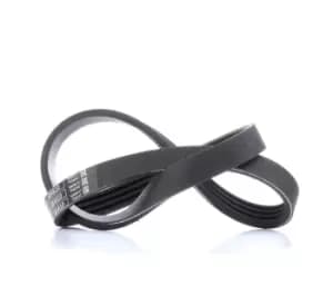 Bosch V-ribbed belt RENAULT,FIAT,PEUGEOT 1 987 947 888 96570669,96610563,575069 575094,96106737,96124532,6001548021,8200211651,96570669,96610563