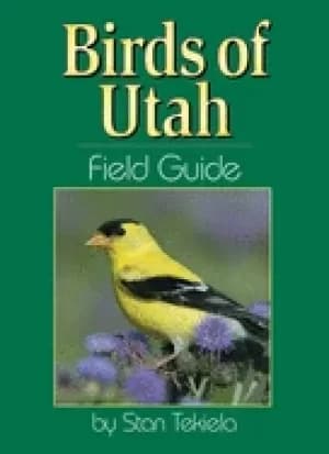 birds of utah field guide