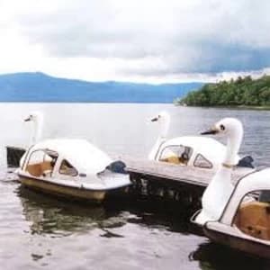 Karl Lindh – Bortom E4's Horisont Vinyl