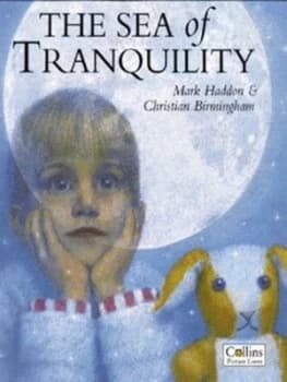 The Sea of Tranquility by Mark Haddon Paperback