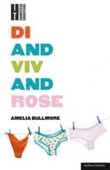 Di and Viv and Rose by Amelia Bullmore Paperback