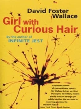 Girl with Curious Hair by David Foster Wallace Paperback