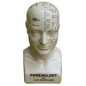 Medium Ceramic Phrenology Head, 25cm