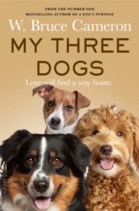 My Three Dogs. Paperback. By W Bruce Cameron Books