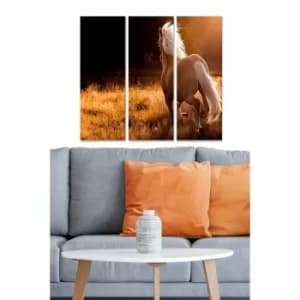 MDFFTR1017 Multicolor Decorative MDF Painting (3 Pieces)