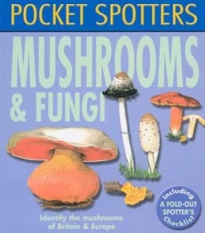 Mushrooms and Fungi by Leslie Jackman Paperback
