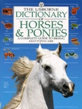 The Usborne Dictionary of Horses and Ponies by Struan Reid and Karen Bush and Aziz Khan Hardback