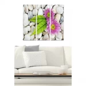 MDF82417204 Multicolor Decorative MDF Painting (3 Pieces)