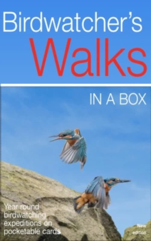 Birdwatcher's Walks in a Box : Year-round bird walks in Britain on pocketable cards Loose-leaf