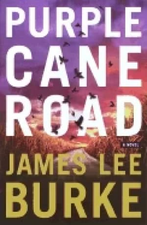 purple cane road a novel