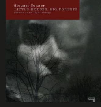 Little Houses Big Forests by Siouxzi Connor Paperback