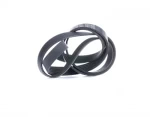 GATES Poly V-Belt VW,VOLVO 6PK1753 1271829,9189229,9458411 Ribbed Belt,V Ribbed Belt,Multi V Belt,Poly Belt,V-Ribbed Belts 037145933A,037145933C