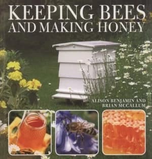 Keeping Bees and Making Honey by Alison Benjamin Paperback