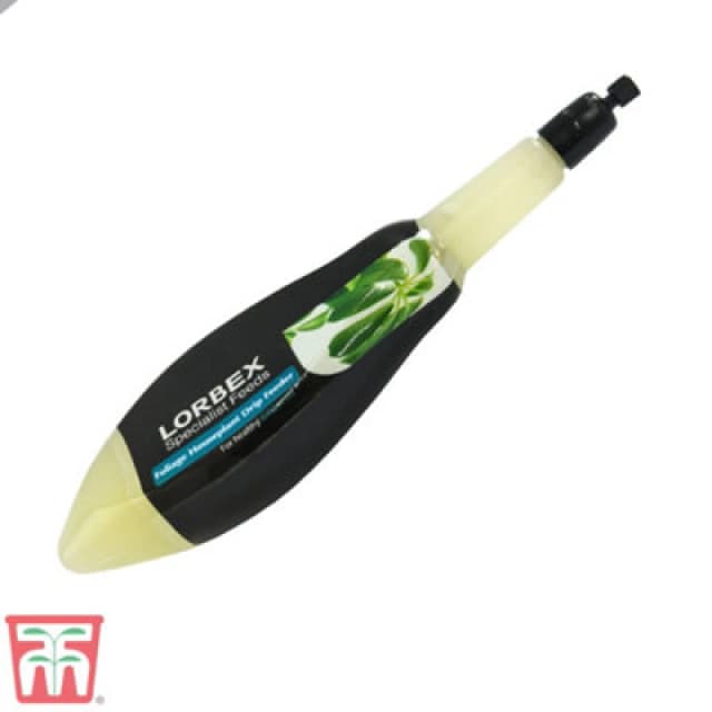 Thompson & Morgan Single Foliage House Plant Drip Feeder X 1 Unit