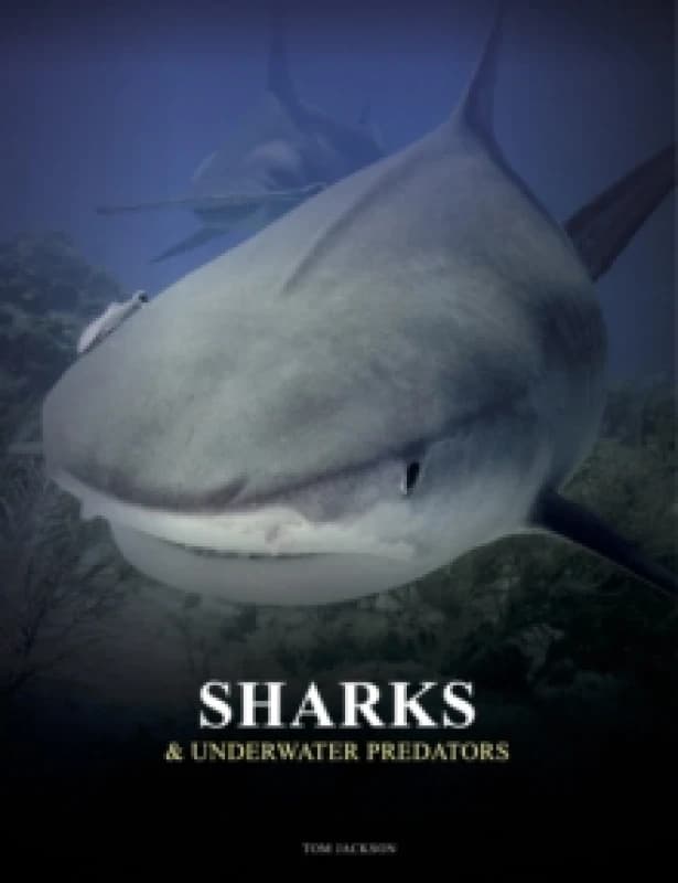 Sharks and Underwater Predators Hardback