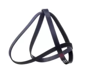 RIDEX V-ribbed belt AUDI,FORD,RENAULT 305P0080 078903137,5750HE,5750PY Serpentine belt,Auxiliary belt,Poly V-belt,Ribbed belt,Multi V-belt,Poly belt