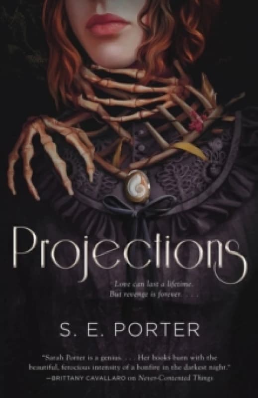 Projections. Paperback. By S E Porter Books