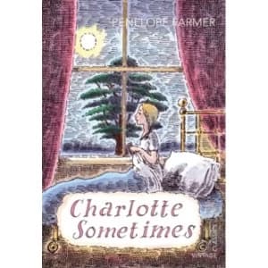 Charlotte Sometimes (Vintage Childrens Classics) Paperback
