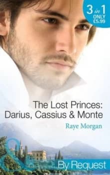 The Lost Princes by Raye Morgan Book